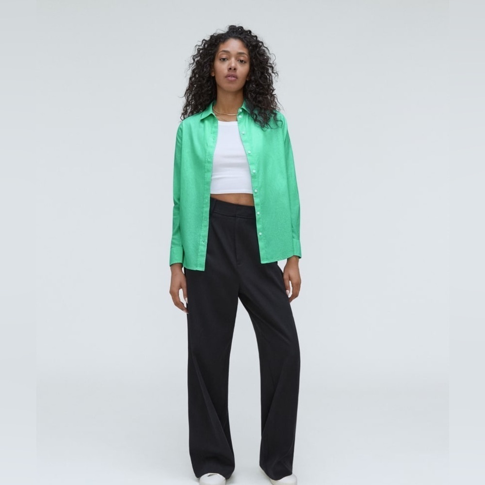 Everlane The Silky Cotton Relaxed Shirt In Mint 00
